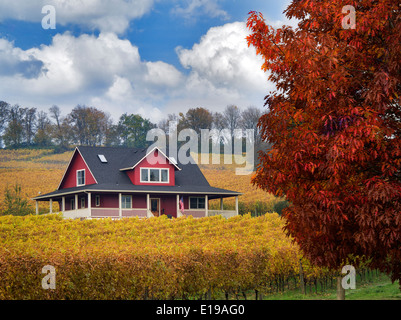 Sokol Blosser Weinberge in Herbstfarben und Haus. Oregon Stockfoto