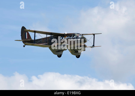 De Havilland Dragon Rapide fliegen Stockfoto