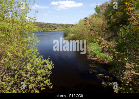 Ogden Wasser-Reservoir in der Nähe von Halifax, West Yorkshire Stockfoto