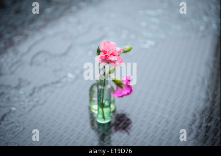 Eine Nelke im Regen an der Hay Festival 2014. Stockfoto