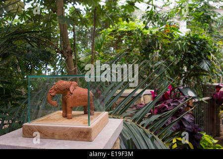 tropischen Regenwald im Phipps Konservatorium Pittsburgh PA Stockfoto