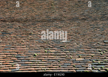 Fliesen auf Dach der großen Scheune, Gutshof, Ruislip, London Borough of Hillingdon, Greater London, England, Vereinigtes Königreich Stockfoto