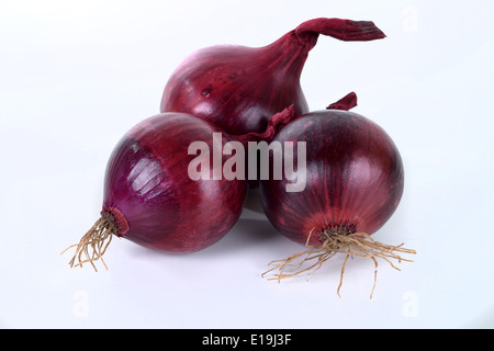 Rote Zwiebeln Stockfoto