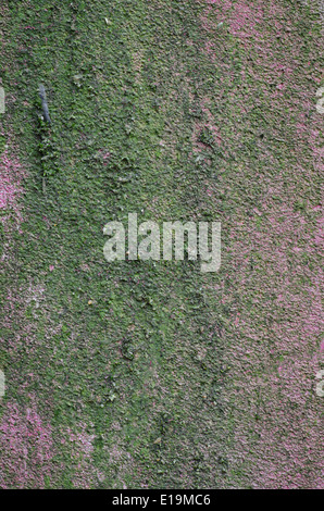 alten verwitterten Grunge Wand Hintergrund Stockfoto