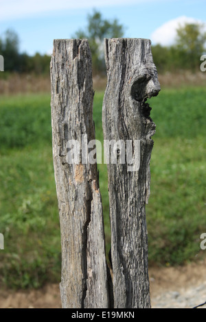 Split Holzzaun Pole, Landschaft Stockfoto