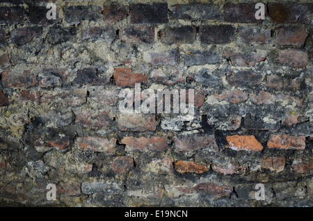 alte Ziegel Wand im Keller Stockfoto