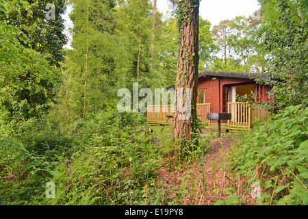 In der neuen Gesamtstruktur Godshill Hampshire UK England Lodge Stockfoto