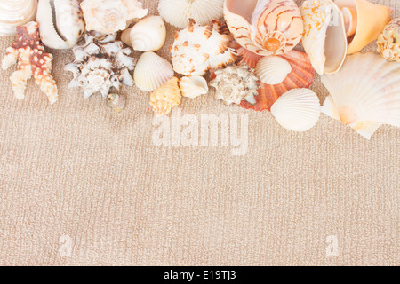 starfish ans seashells on towel Stockfoto