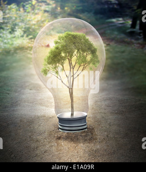 Ein kleiner Baum im Inneren einer Glühbirne - Ökologie-Konzept-Abbildung Stockfoto