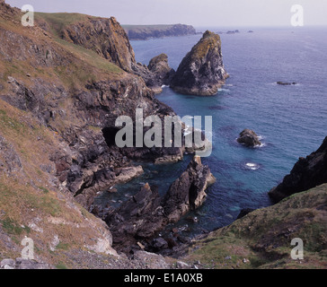 Felsen an der Küste rund um die Eidechse in Cornwall, an einem nebligen Sommer-morgen Stockfoto