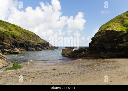 Die kleine Cornish Angeln und Reiseziel der Portloe in Cornwall Stockfoto