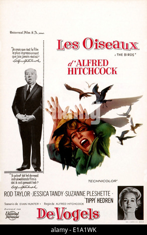 Die Vögel - belgische Filmplakat - Regie: Alfred Hitchcock Stockfoto