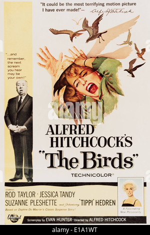 Die Vögel - Filmplakat - Regie: Alfred Hitchcock Stockfoto