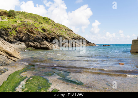 Die kleine Cornish Angeln und Reiseziel der Portloe in Cornwall Stockfoto