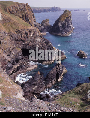 Felsen an der Küste rund um die Eidechse in Cornwall, an einem nebligen Sommer-morgen Stockfoto