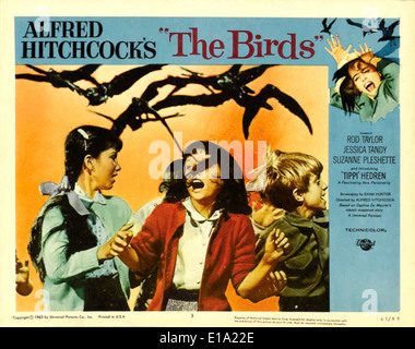 Die Vögel - Filmplakat - Regie: Alfred Hitchcock Stockfoto