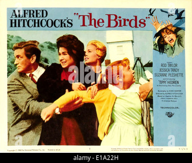 Die Vögel - Filmplakat - Regie: Alfred Hitchcock Stockfoto