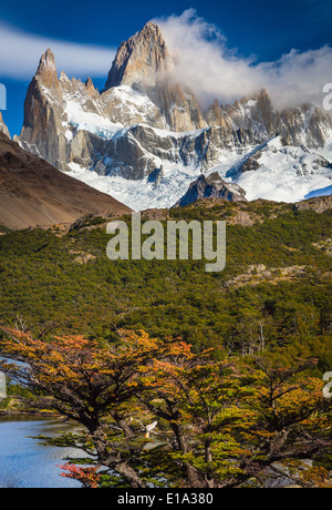Fitz Roy in Patagonien, Argentinien Laguna Capri hoch überragt Stockfoto