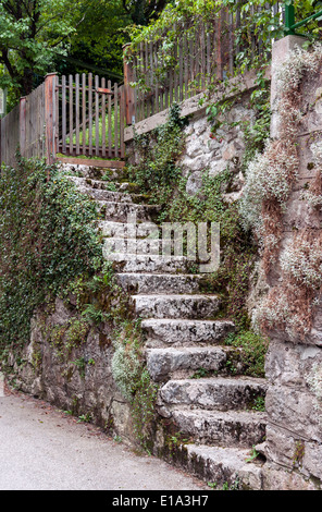 Alte Steintreppe führt zu hölzernen Tor Eingang Stockfoto