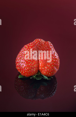 Einzigen frischen Erdbeere auf rotem Grund Stockfoto