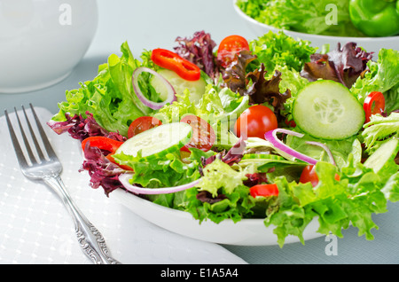 Ein gemischter Salat mit Kopfsalat, Gurken, Tomaten, rote Pepperm und rote Zwiebel. Stockfoto