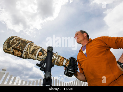 Der Naturfotograf H. Mark Weidman arbeiten mit einem großen Teleobjektiv Stockfoto
