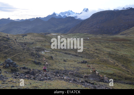 Ein Blick auf das Tal von Huacahuasi von Ipsacocha auf den Lares Trek in den Anden in der Nähe von Cusco, Peru Stockfoto