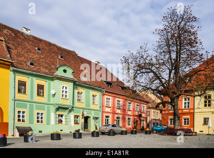 Mittelalterlichen Zentrum von Sighisoara, nur bewohnte mittelalterliche Festung Europas, Wahrzeichen von Transsilvanien, Rumänien Stockfoto