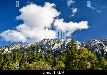 Natur-Landschaft mit Karpaten in Rumänien, Nationalpark Piatra Craiului. Stockfoto
