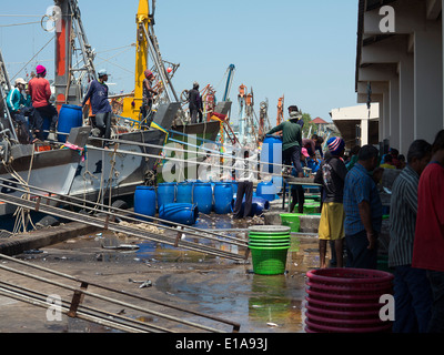 Thailande Port de Peche de Phuket, Fischerei Hafen von Phuket, Boote, Stockfoto