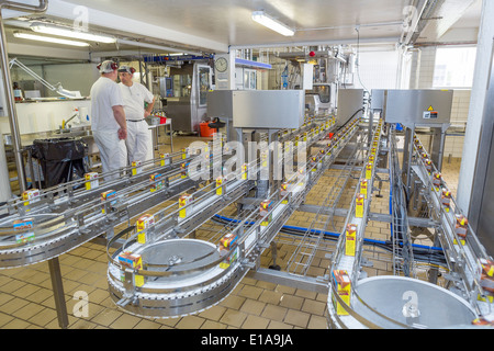 Arbeitnehmer bei der Molkerei-Fabrik. MS Molkereien, Selfoss, Island. Stockfoto