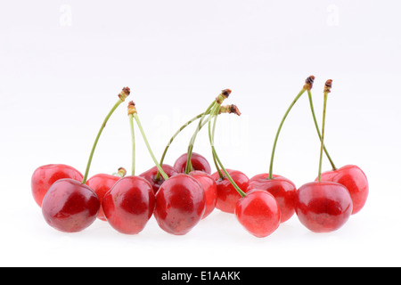Süße rote Kirschen auf einem weißen Hintergrund isoliert Stockfoto