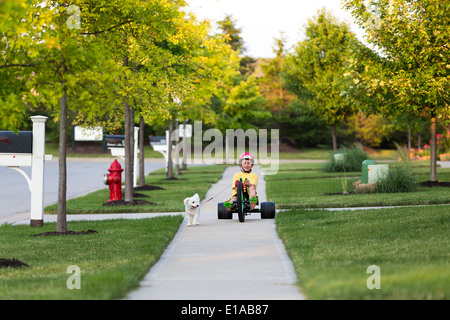 Kleiner Junge Spaziergang mit dem Hund mit seinem Dreirad auf die schön geschnittene Gräser in ihrer Nachbarschaft Stockfoto