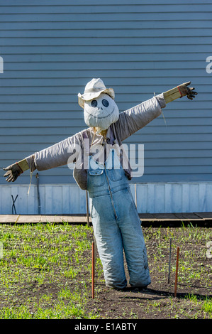 Vogelscheuche bewachen eine Ernte am Erbe-Park in Calgary Alberta Kanada Stockfoto