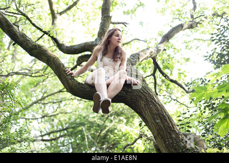 junge Frau sitzt im Baum tragen weiße Weste und shorts Stockfoto
