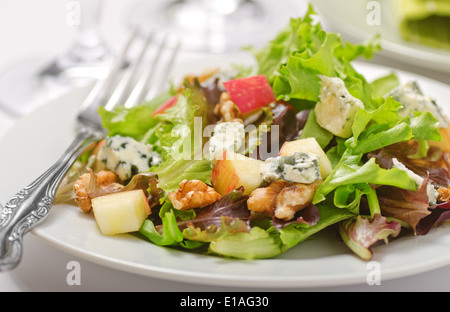 Waldorf-Salat mit grünen, Äpfel, Walnüsse und Blauschimmelkäse. Stockfoto