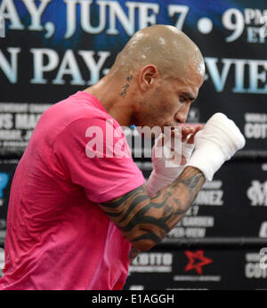 Hollywood, CA, USA. 28. Mai 2014. Puerto Rico Miguel Cotto arbeitet für die Medien an Wild Card Boxing Club Mittwoch. Miguel Cotto bereitet sich auf Verteidigung World Boxing Council (WBC) / The Ring Mittelgewichts-Champion und Argentiniens Sergio Martinez. Der Kampf findet Samstag, 7. Juni, um das "Mekka des Boxens,'' Madison Square Garden in New York. Bildnachweis: ZUMA Press, Inc./Alamy Live-Nachrichten Stockfoto