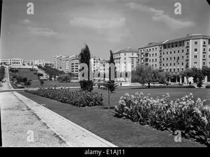 Alameda Dom Afonso Henriques, Lissabon, Portugal Stockfoto