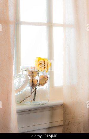 Einmachglas auf der Fensterbank, Sommertag Licht Stockfoto