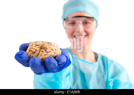 Weibliche Pathologe oder medizinischer Technologe hält eine Kuh Gehirn in der Hand in Richtung der Kamera, isoliert auf weiss Stockfoto