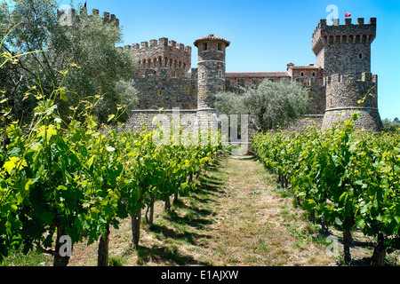 Low Angle View einer toskanischen Stil Burg mit Reihen von Grapevine; Weingut Castello Di Amorosa, Calistoga, Kalifornien Stockfoto