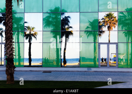 Strand mit Palmen, spiegelt sich in der Glaswand eines Gebäudes, Barcelona, Katalonien, Spanien Stockfoto