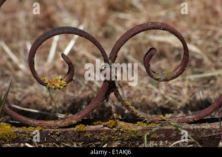 Schmiedeeisen um ein Grab auf einem Friedhof in San Juan bautisita, Kalifornien. Stockfoto