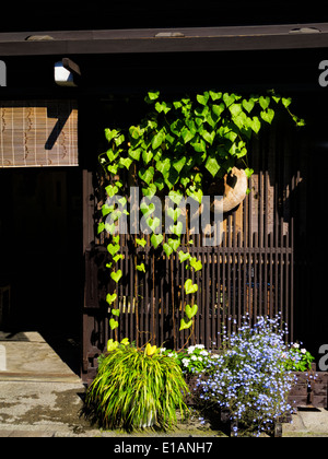 Pflanzen und Blumen wachsen auf einem kleinen attraktiven am Straßenrand Holzgebäude Stockfoto