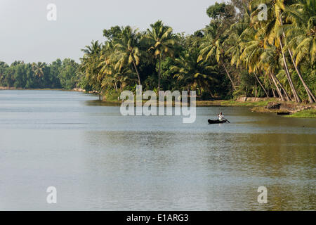 Typische Landschaft mit Palmen Bäume, Kerala Backwaters, Alappuzha, Kerala, Indien Stockfoto