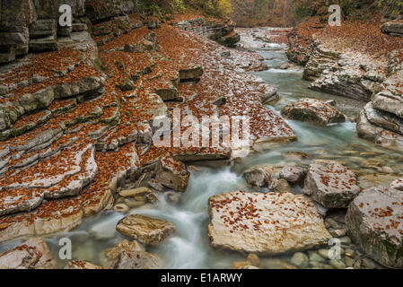 Taugl oder Tauglbach Tauglgries Naturschutzgebiet, Bezirk Hallein, Salzburg, Österreich Stockfoto