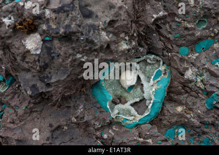 Zeolith Geode, Mineralien, Färöer, Dänemark Stockfoto