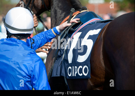 Mark Westley Fotografie Newmarket Rowley Meile Rennbahn Gewinner Gehäuse 4. Mai 2014 Stockfoto