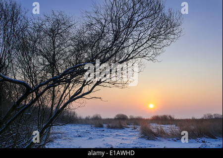 Winterabend über See Dümmer, Dümmerlohhausen, Landkreis Diepholz, Niedersachsen, Deutschland Stockfoto