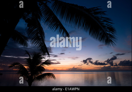 Sonnenuntergang über Palmen im Lux Le Morne Resort am Le Morne Brabant Halbinsel, Mauritius, The Indian Ocean Stockfoto